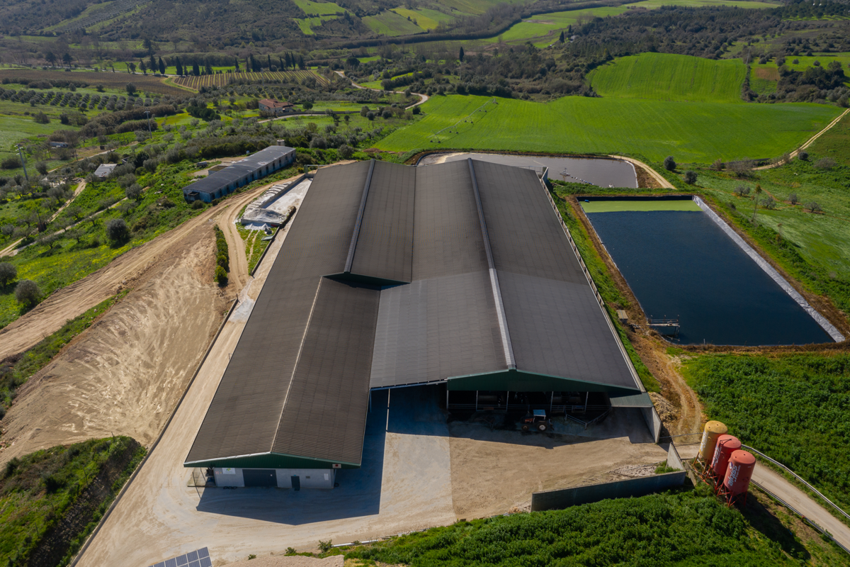 Establecimiento Agrícola4/4