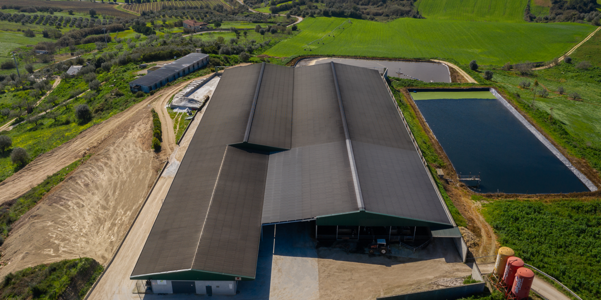 Establecimiento Agrícola4/4